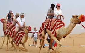 Post that, you are taken to a bedouin camp, where you can pick from a. Camel Riding In Dubai Desert Safari Platinum Heritage More Mybayut