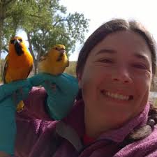 What is the best type of hair trap for mountain goats, big horn sheep,  and/or deer?