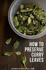 preserving curry leaves how to preserve curry leaves or kadi patta curry leaves indian food recipes vegetarian indian food recipes
