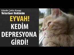 eyvah kedim depresyonda simdi ne yapacagim youtube