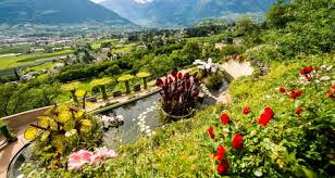 Dopo aver cliccato sul singolo fiore, è sempre possibile scegliere un bouquet più grande e più bello selezionandolo dall'apposita lista. Ai Giardini Di Castel Trauttmansdorff Sbocciano Le Rose Greencity It