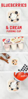 Blueberries Cream Pudding Cups Snack Pack Pudding Pudding Cups Finger Food Appetizers