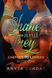 Seeing two people who were at odds begin to like each other holds a strong appeal, especially when one or both of them is still resisting the feelings every step of the way! Enemies To Lovers Bucher In Der Richtigen Reihenfolge Buchertreff De