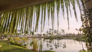 We did not find results for: The Arc Bandar Rimbayu Place Making Public Space Awards Mippea 2016 Youtube