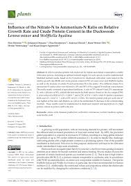 Image result for Wolffiella hyalina