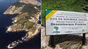Ilha da queimada grande has a variety of vegetation. O Lugar Mais Perigoso Do Mundo Fica No Brasil Curiosidades