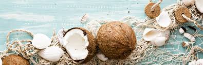 Maybe you would like to learn more about one of these? Can Dogs Eat Coconut Nutrition Guide My Pet Needs That