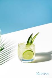 Pisces Kinky Vacation Kinky Beverages