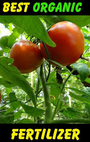 Organic fertilizers can be granular, like tomato, vegetable, & herb fertilizer, or liquid, like fish & kelp fertilizer. Pin On Fertilizers