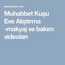 Muhabbet Kusu Eve Alistirma Makyaj Ve Bakim Videolari Muhabbet Kuslari Kus Evi Kusu