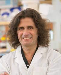 Carbone, Michele MD, PhD