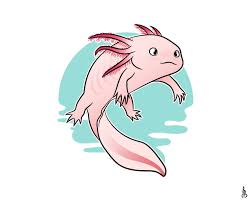 Just a quick draw of one of my favorite animals, the axolotl, the master of regeneration. Pin On Rysuje
