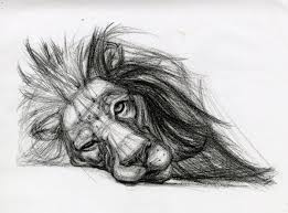 Drawing marine animals and sea creatures. 30 Easy And Practicable Tail And Fur Sketches Pencil Drawings Of Animals Animal Drawings Animal Sketches