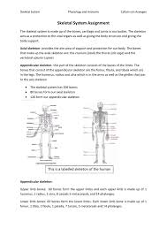 Protection of vital structures (heart, lungs, brain). Skeletal System Assignment