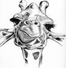 Pin On Giraffes