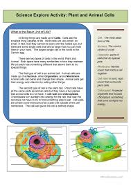 The plasma membrane acts as a barrier against undesirable substances and cells but has many other uses too. Explore The Cell English Esl Worksheets For Distance Learning And Physical Classrooms