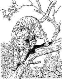 See more ideas about coloring pages, cat coloring page, cat colors. Y Tiger Cat Girl Coloring Pages For Adults Trend Cat Coloring Page Detailed Coloring Pages Mandala Coloring Pages