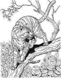 Search through 623,989 free printable colorings at getcolorings. Y Tiger Cat Girl Coloring Pages For Adults Trend Cat Coloring Page Detailed Coloring Pages Mandala Coloring Pages