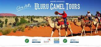 Everything you need to know. Uluru Camel Tours Award Winning Camel Tours Uluru Australia
