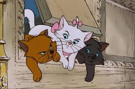 Even though the film was criticised with an overall score of 6.2/10 on rotten tomatoes (a review aggregator) and an overall rating of 65% from critics, it was still a great movie. 26 Reasons Aristocats Is The Greatest Disney Movie Of All Time Disney Cats Great Disney Movies Aristocats