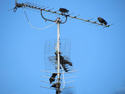 Maybe you would like to learn more about one of these? Lietuvos AntzeminÄ—s Televizijos Dvb T KanalÅ³ NumeriÅ³ Ir DazniÅ³ LentelÄ—