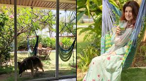 Come over to my neck of the woods and see an enchanting garden or two. Akshay Kumar To Deepika Padukone Take A Tour Of Bollywood Celebs Sprawling Home Gardens Gq India