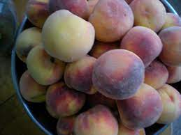 The sugar binds to the juice coming out of the fruit to make the sauce. Do Peaches Belong In The Fridge The Botanist In The Kitchen