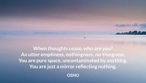 When Thoughts Cease Who Are You An Utter Emptiness Nothingness No Thingness You Are Pure Space Uncontaminated By Anything You Are Just A Mirror Reflectin