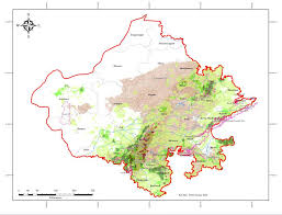 LOST TIGERS PLUNDERED FORESTS: