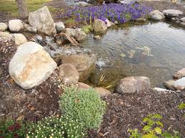 Outdoor ponds ponds backyard backyard waterfalls outdoor fountains garden ponds koi ponds outdoor water features pond water features pond build a classroom frog pond. Outdoor Showplace Backyard Ponds Backyard Waterfalls