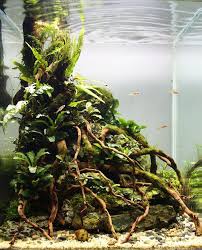 Freshwater aquarium aquascape design ideas. 27 Easy Diy Aquascape Design On Low Budget Homemydesign