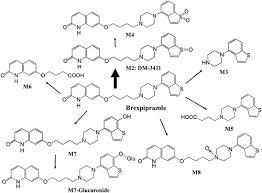 Image result for Brexpiprazole