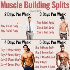 Muscle Building Splits By Jmaxfitness Don T Waste Your Time Doing A Bro Split Instead Focus On Push Pull Workout Weight Training Workouts Workout Splits