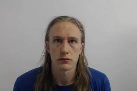 Starving pet ate dead cat's body after owner abandoned them 'for weeks'