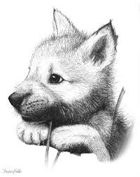 Black And White Realistic Wolf Drawing Wolf Pup V1 By Iduck On Deviantart Animal Drawings Wolf Pup Animal Art