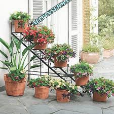 House Plants Decor Potschke Ambiente Blumentreppe Castellana Amazon De Garten House Plants Decor Garden Em 2020 Jardins Pequenos Minijardins Ideias De Jardinagem