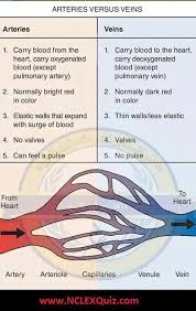 Pin On Medicalcodingward