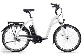 Innovative Mobilitat Aus Der Schweiz 25 Jahre Flyer E Bikes Velomotion