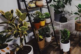 Senang berkebun dan melihat mekarnya bunga di taman? Bisakah Tanaman Herbal Dan Tanaman Hias Hidup Tanpa Tanah Halaman All Kompas Com