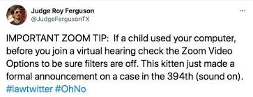 The best kind of courtroom drama is the one involving fake felines. I M Not A Cat Says Lawyer After Zoom Filter Mishap Reuters