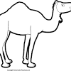 Choose your favorite camel train paintings from millions of available designs. Https Encrypted Tbn0 Gstatic Com Images Q Tbn And9gctrbf Xkl28rq6ogvxpbrtk4qj50 Dk3c1d1dsnnx0gwathvbqo Usqp Cau