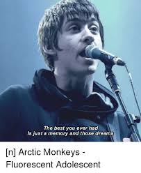 This is an extremely difficult question to answer, it's been sitting in my requests for a while now. The Best You Ever Had Ls Just A Memory And Those Dreams N Arctic Monkeys Fluorescent Adolescent Best Meme On Me Me
