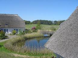 Der vorsatz, ein neues haus zu kaufen, ist vermutlich einer der vordergründigsten im leben. Haus Kaufen In Mecklenburg Vorpommern Deutschland