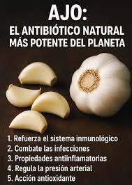 🧄 El Ajo: El Antibiótico Natural Más Potente del Planeta El ajo, más ... | TikTok