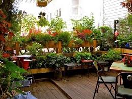 See more ideas about backyard, bamboo garden, bamboo fence. Balcony Garden Design Ideas Garden Terrace Ideal Small Space Solution Couryard Water Feature Bamboo Grass Outdoor Patio Dining Room Rooftop One Coffee Table Oval Dining Table Interior Design Inspirations