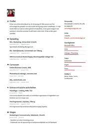 Cv Template Voor Studenten Download 5 Gratis Sjablonen