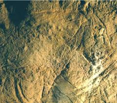 Grotte Des Combarelles Stone Age Art Historical Sites Monument