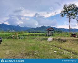 Materi belajar.co.id pada kali ini akan membahas tentang cara membuat puisi khususnya buat pemula dan pelajar, penjelasan disertai dengan. Gubuk Di Sawah
