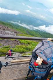Mt Fuji Walking Stick Stamps Photos Climbing Mt Fuji From Tokyo Hiking Japan Flashpacking Japan