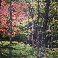 Thanksgiving weekend is here and it's a great time to enjoy some family fun outdoor and indoor activities before the arrival of winter! What To Do For Thanksgiving Weekend In Ottawa A Little Bit Of Momsense